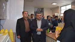 بازدید بازرس کل کهگیلویه و بویراحمد از کارخانه توسعه کشت و صنعت ره آوران گچساران/ پیگیری مشکلات تولید کنندگان و رفع موانع تولید در دستور کار بازرسی